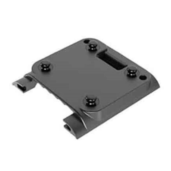 Strap mount, pack of 10